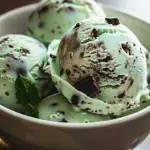 Amazing Mint Chocolate Chip Ice Cream for a Delicious Treat