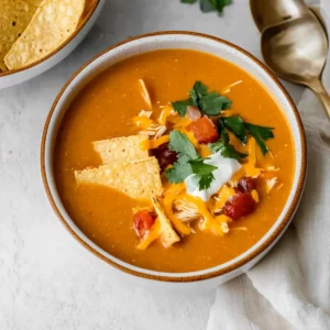 Chicken Enchilada Soup